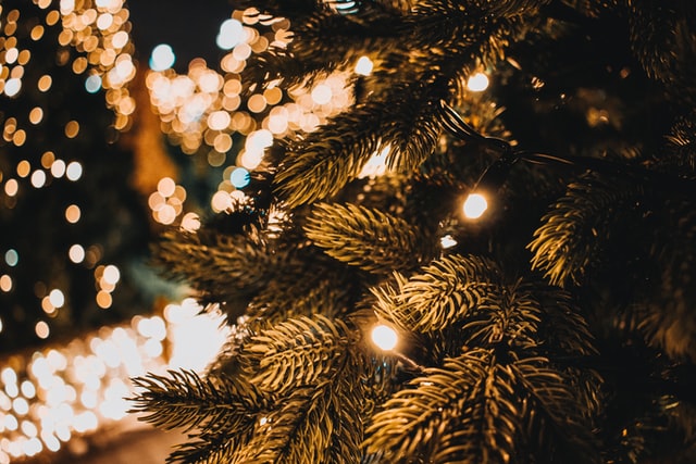 Christmas tree lit up with white lights