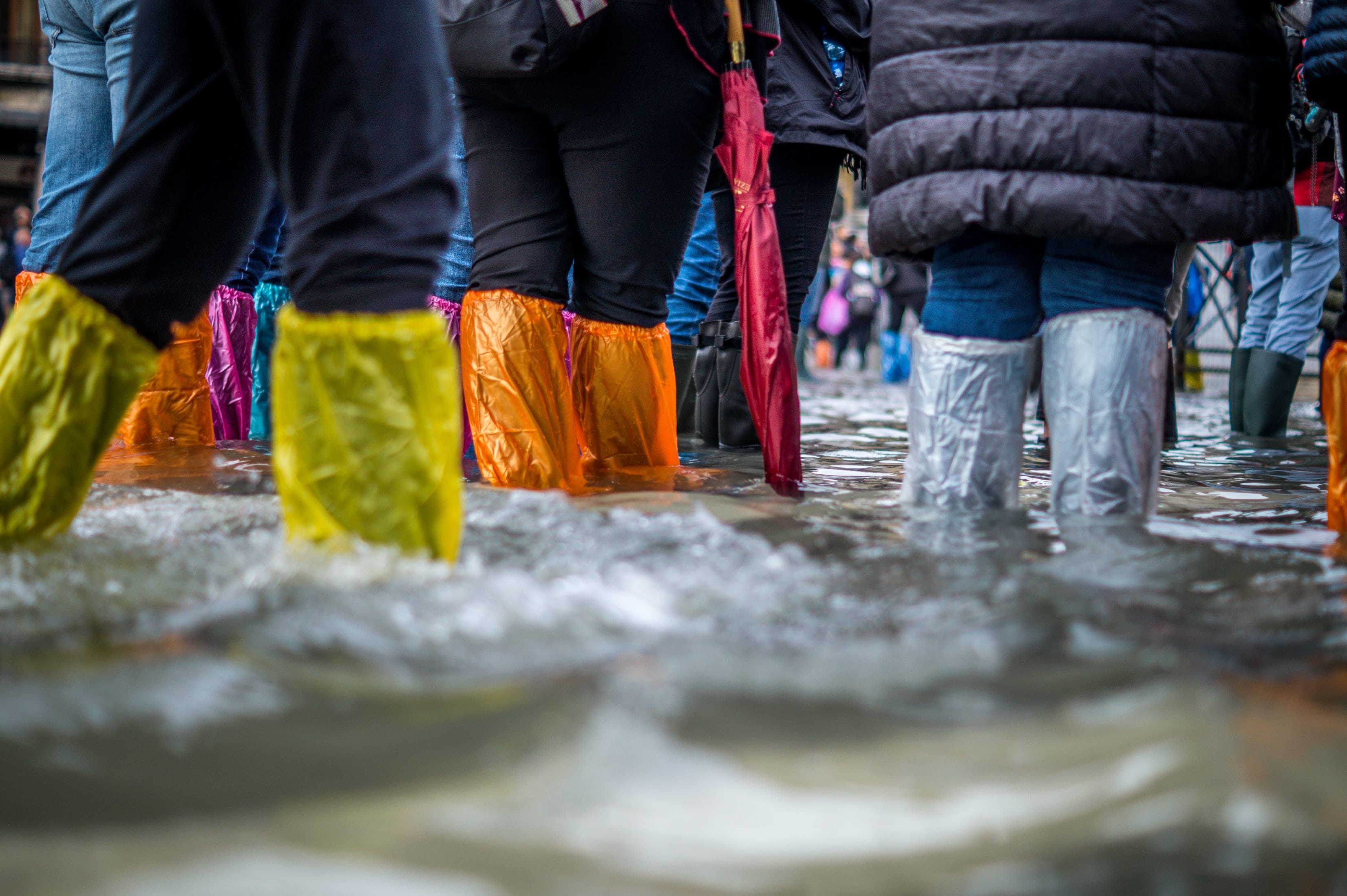 Wading through the flood