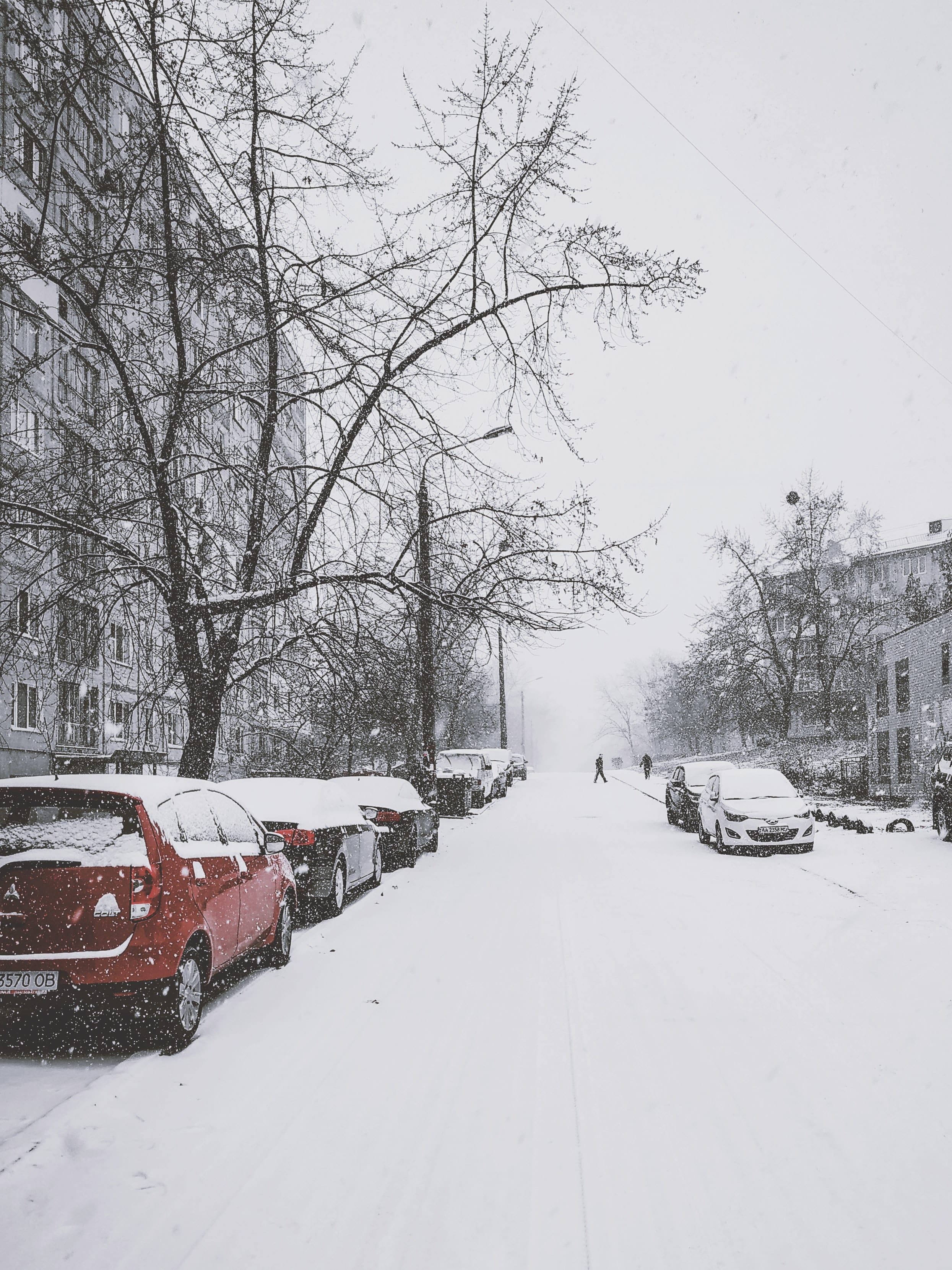 Snowy Road