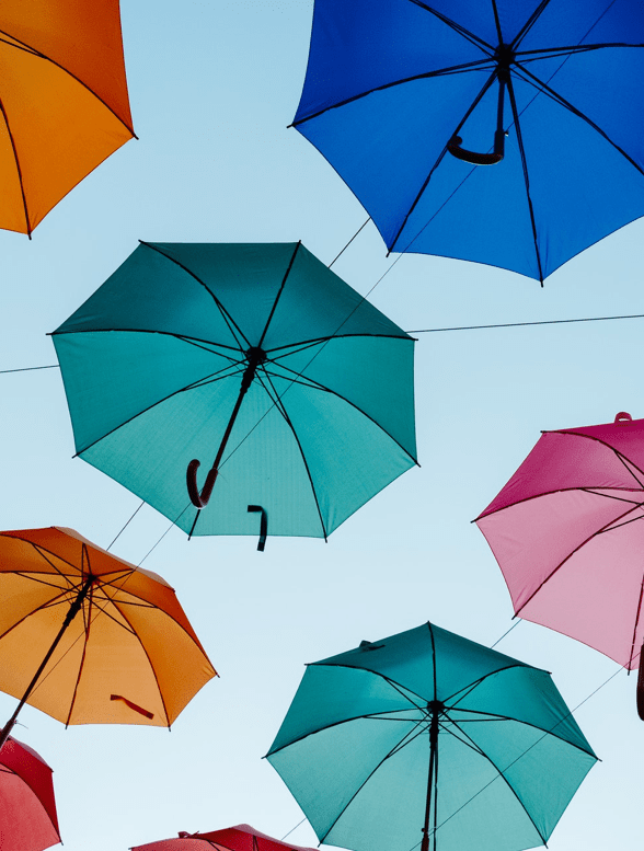 Umbrella